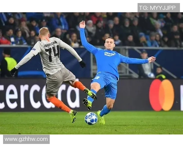 霍芬海姆足球俱乐部的崛起与挑战：探索德甲新势力的未来发展之路